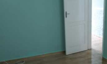 Imagem 6: Apartamento para aluguel com 2 quartos - Engenho de Dentro - Rua Guineza