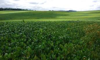 Imagem 3: Chácara à venda, 160 alqueires, ou 387,2 hectares ou 3.872.000m², plantando 60%, soja, euc