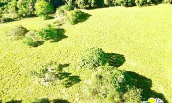 Imagem 6: Sitio à Venda em Catu - BA | Sitio em Catu à Venda | 13 Hectares | Pasto | Pomar