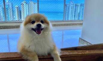 Imagem 5: Apartamento com 3 dormitórios à venda, 109 m² por R$ 730.000,00 - Jardim Camburi - Vitória