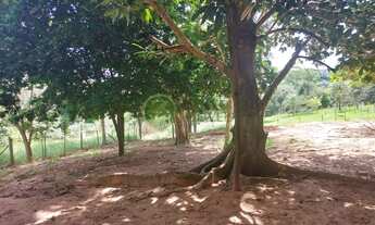 Imagem 7: Venda: Excelente chácara perto de Bauru