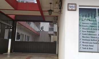 Imagem: ALUGO KITNET