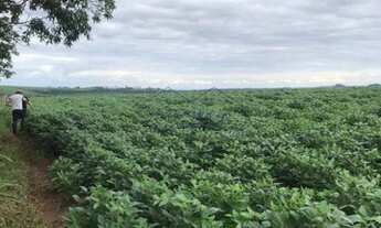 Imagem 5: Sítio, Zona Rural, Analândia - R$ 3.5 mi, Cod: 10132475