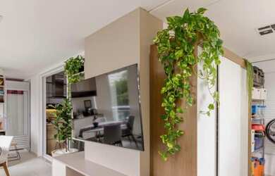 Imagem 4: Apartamento com 2 dormitórios para venda ou locação em Vila Mariana - São Paulo - SP