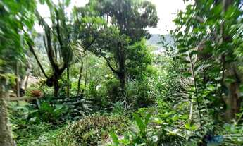 Imagem 5: Terreno no bairro Armação do Pântano Sul em Florianópolis