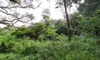 Imagem: Sítio em Guaratiba