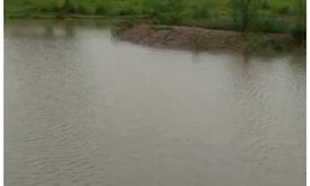 Imagem 6: Sítio em Porangaba