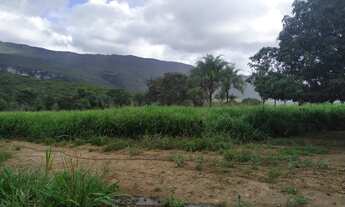 Imagem 6: Fazenda Iramaia Ba. 5 mil hectares chapada