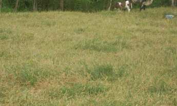 Imagem 5: Chácara rural à venda, Vila São Geraldo, São José dos Campos