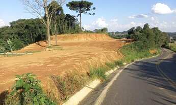 Imagem: Área 5.000m² a Venda no bairro Quarteirão