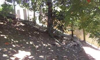 Imagem 5: Lote ideal para construção de prédio na glória