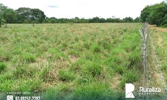 Imagem 7: Fazenda com dupla aptidão na região de Bernardo Sayão - TO