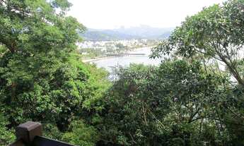 Imagem 5: Casa com 4 dorms, Praia Vermelha, Ubatuba - R$ 2.5 mi, Cod: 590