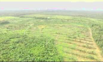 Imagem: SÍTIO BR-230 SENT. LABREA CANUTAMA-AMAZONAS