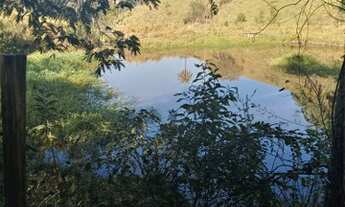 Imagem 5: Fazenda de 24 Hectares entre Serra Azul e Itaúna