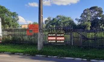 Imagem 4: Oportunidade de investimento em terreno na Olaria 2620m2 na rua Gildo de Freitas