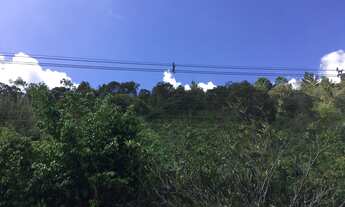 Imagem 6: Terreno em Albuquerque com 2711 m