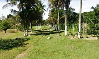 Imagem 5: Chácara à venda com 50.000 metros quadrados em Guapimirim, RJ