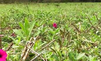 Imagem: Chácara localizada no litoral pertinho