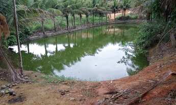 Imagem 4: Vendo lindo sítio