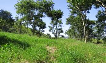 Imagem 4: Linda área São Francisco Xavier /Rio do peixe