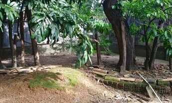 Imagem 6: Casa em porto nacional