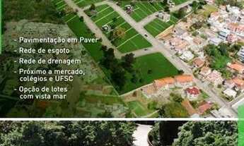 Imagem 4: Terrenos - Lotes - Padrão - Venda - Córrego Grande - Florianópolis - SC