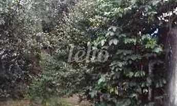 Imagem 3: São Paulo - Terreno Padrão - Mooca