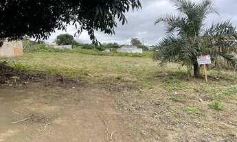 Imagem 4: Vendo terreno bairro dom helder câmara Garanhuns Pe