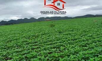 Imagem 2: Fazenda 392 Alqueires Região De Niquelândia/GO