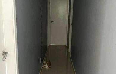 Imagem 4: Excelente apartamento