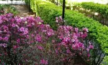 Imagem 2: Apartamento para Locação em Jundiaí, Parque Residencial Eloy Chaves, 2 dormitórios, 1 banh