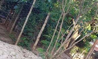 Imagem 5: Imóvel em Juatuba ótima localização