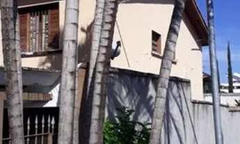 Imagem 2: SOBRADO - JARDIM GUEDALA - SP