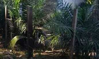 Imagem 2: Casa para temporada Barra do garcas MT