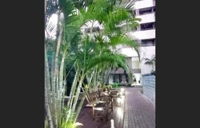 Imagem 4: Alugo mobiliado edf Maria Rita / Anita