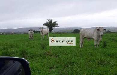 Imagem 5: Fazenda com 7 dormitórios à venda, 210000000 m² por R$ 210.000.000,00 - Morada Do Sossego