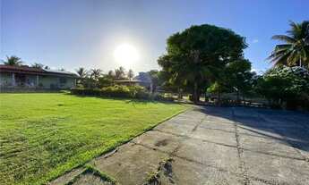 Imagem 3: Chácara com mais de 2580m² de área, com árvores frutíferas