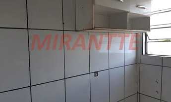 Imagem 5: Comercial de 165m² com 4 quartos em Vila Amalia