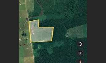 Imagem: Fazenda pronta para gado e soja 245 alqueires