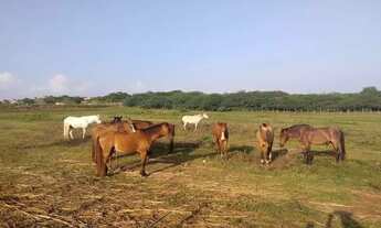 Imagem 5: Terreno 15x50mt Fazenda Real I e II