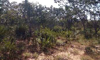 Imagem 2: CHÁCARA Chácara com venda por R$14.900