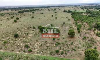 Imagem: Fazenda 57,3 alqueires (277,33 hectares)