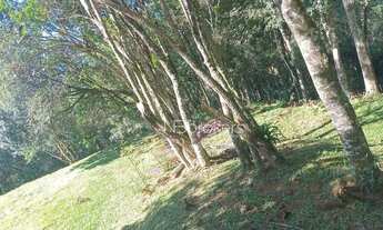 Imagem 2: Chácara /Roça Velha SJP