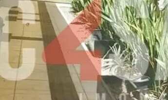 Imagem 6: EXCELENTE PRÉDIO COMERCIAL PARA SEU NEGÓCIO!