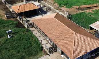 Imagem 2: Vendo Fazenda em Alexânia 11,3 Alqueires