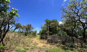 Imagem 4: Chácara 2 hec escriturada Mansões Fazendária - Tororó