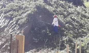 Imagem 6: Chácara em Almirante Tamandaré