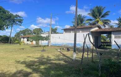 Imagem 2: Fazenda em Marechal Deodoro