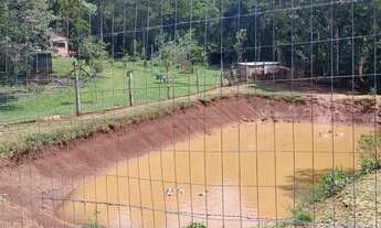 Imagem 4: BAIXOU - Sítio 3 hectares - Fazenda Fialho/Taquara-RS